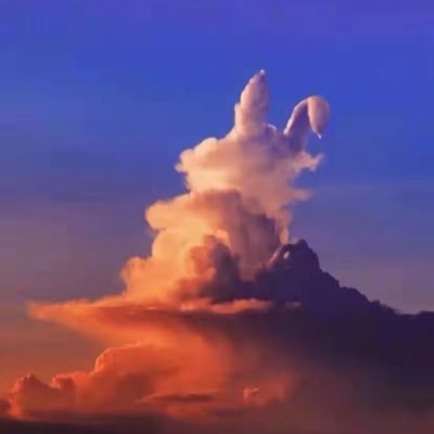 Wahu51267715's profile picture. 有点逻辑、有点想法