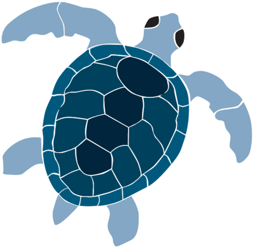 clipart turtle clip art - photo #42