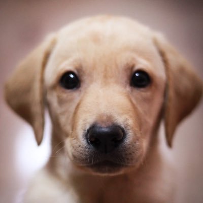 DanWPGMB's profile picture. 