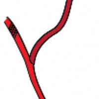 Coronary 4Front (@coronary4front) 's Twitter Profile Photo Coronary 4Front (@coronary4front) 's Twitter Profile Photo