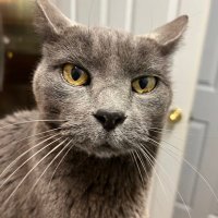 James Gamble (@jamesga03145579) 's Twitter Profile