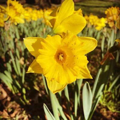 Fibaeni's profile picture. I’m a child of God.. ❤️