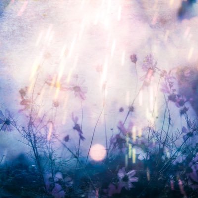 erimuku's profile picture. 心に響く瞬間を写真で紡ぎ 廃蛍光灯をリサイクルして作ったガラスなどに 時間と共に記憶を閉じ込めることをやっています。