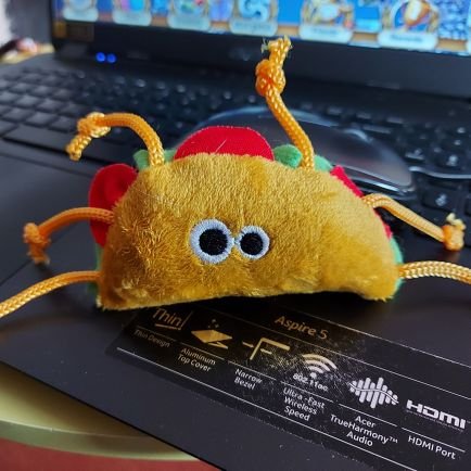 My name is Shelly the Taco. I am a victim of domesticat violets. Am also the new toy for @BoomerBadboi and his cat bros.