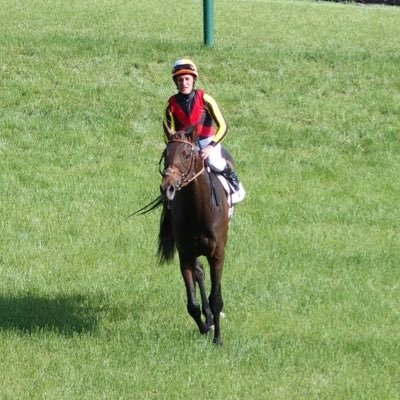 競馬歴28年。生で見た思い出のレースはディープの菊花賞とオルフェの凱旋門賞(1年目)。シルク、ライオンの一口馬主やってます。活躍馬はレクセランス、カーペンタリア、アグラシアドなど。予想は血統重視。よろしくお願いします🙇‍♂️