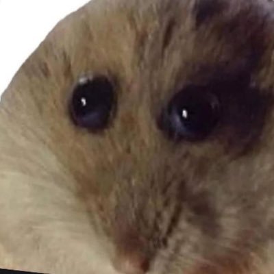 ElDew57's profile picture. 