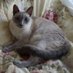 Connie1963 (@connie062511) Twitter profile photo Connie1963 (@connie062511) Twitter profile photo