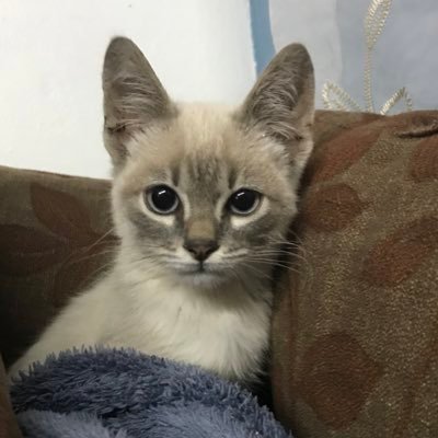 Bet02sweet's profile picture. 💬 ..