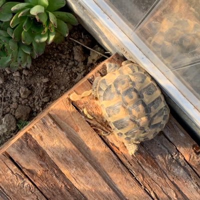 av0xcad0's profile picture. 