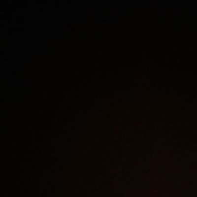 thatnilote's profile picture. Nilotic