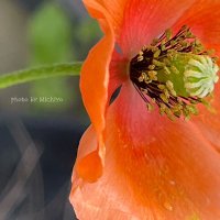 Michiyo (@slfa91suggftka5) 's Twitter Profile Photo