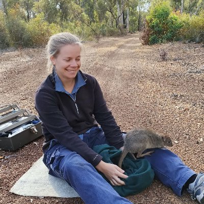 PhD candidate studying numbat ecology at @biolsci_UWA