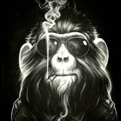 alsfah780's profile picture. إِنَ اللّه إِذَا تَأذنَ بالفرج جَاءكَ مِنْ حَيثُ لاَ تَحتسب فلا تيأس ابداً
