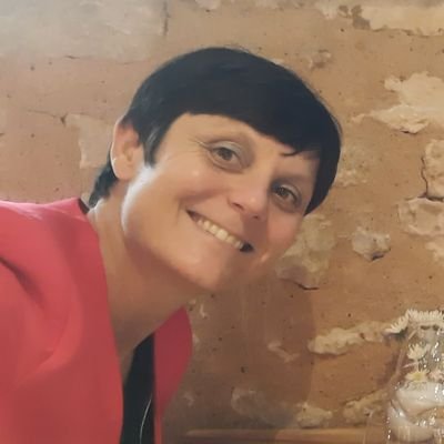 AuroreMarquois's profile picture. Principale adjointe du collège Arthur Rimbaud de Saint Astier (24).