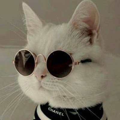 quexjah97's profile picture. 