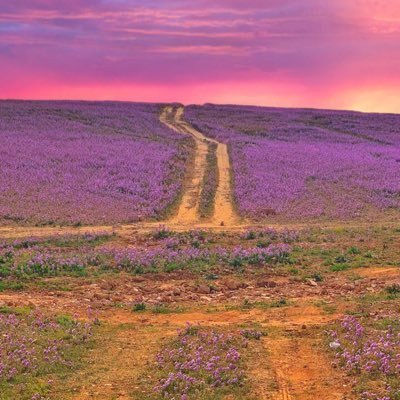 {أولمْ ير الإنسان أنَّا خلقْناه من نُّطْفة فإذا هو خصيم مٌّبين*