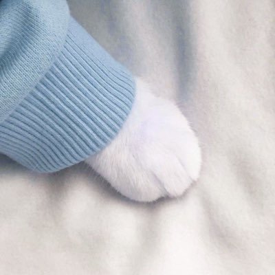 𝙩𝙤 𝙗𝙚 𝙛𝙤𝙣𝙙 𝙤𝙛 @CwrNew (adj.) - having a liking for or love of nunu ꕀ☁️
