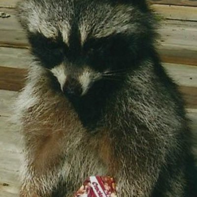 CarsonBham's profile picture. 