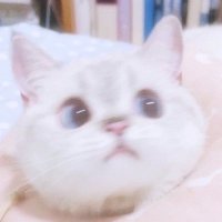 生物 (@ux_xu_2l2l) 's Twitter Profile Photo