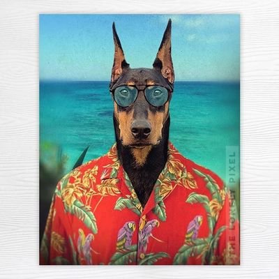 tito_josh6's profile picture. 