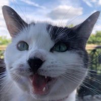 Becky Ferneyhough (@bec906) 's Twitter Profile
