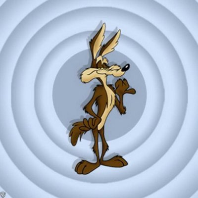 0x1C's profile picture. hacker
