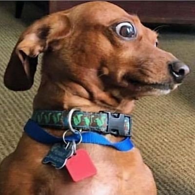 WarPlus's profile picture. Να γίνεις ευάλωτος στα χέρια κάποιου άλλου. Αυτό ειναι αγάπη