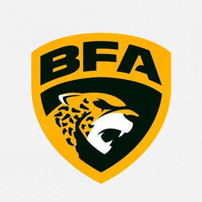 Liga BFA