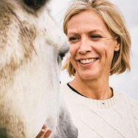 Hélène Zannier (@helenezannier) 's Twitter Profile