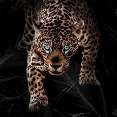 DattuChavan15's profile picture. Born to win # study lover@