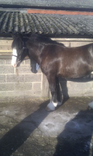 staceyallen02's profile picture. I love my family and my close friends ,aww n I love my cruize, :-)