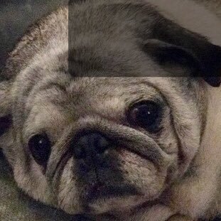 Retaliator00's profile picture. Old