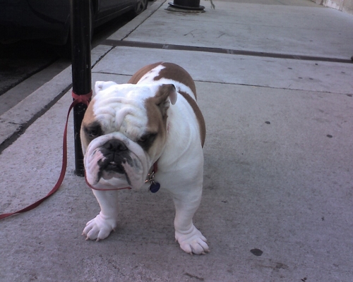 g_coz's profile picture. 