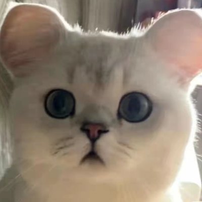 Fendy_like's profile picture. Technical Marketing Writer @Zilliz_universe. | Loving @milvusio, the world's most popular open-source vector database. | Opinions are my own.