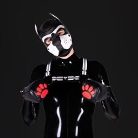 PupLukey (@puplukey) 's Twitter Profile