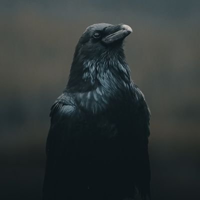 a_gay_crow's profile picture. TV series and Kelly Macdonald 😍 ‖日向坂46 加藤史帆 W佐々木‖常駐各影集坑底的一隻烏鴉，最近沉迷日本百合劇與日向坂46◢‖#あやひろ #チェイサーゲームW‖
Feel free to follow ✌️