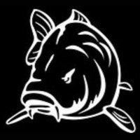 The Carp Forum (@carpforum2020) 's Twitter Profile