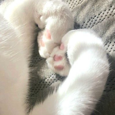 nmmt723's profile picture. .