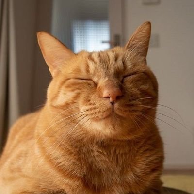 sicepathaluuu's profile picture. akun sambat, lebih baik unfollow ae gaes