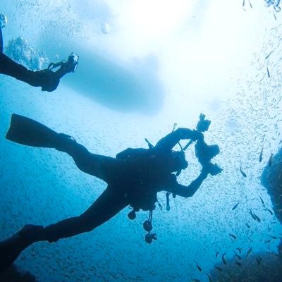 スキューバダイビング 水中カメラ練習中で圧倒的にマクロ派です。撮影した写真の記録と、海の投稿を見たくて始めました。あとは日本語ラップが好きです。撮影日は関係なく投稿してます!無言フォローすいません。よろしくお願いします!🙇♂️