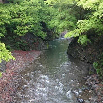 TIJ_Driver's profile picture. #集団ストーカー