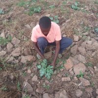 KAWAGUMBA VILLAGE COMMUNITY PROJECT (@johnkahwa6) 's Twitter Profile
