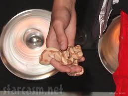 Aye I'm Justin's snake, Johnson. I know you ladies want a piece. (; Sssssss