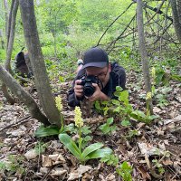 Gonçalo Santos (@goncalosbotany) 's Twitter Profile Photo