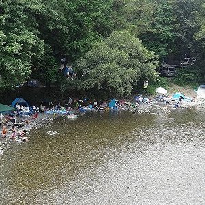 あきる野FOREST：2024年5月～：特定日営業
営業時間：10:00→17:00※デイキャンプのみ！
軽：1,200円、普通車」1,500円、ミニバン：1,800円
中学生以上：600円、小学生：500円、幼稚園保育園：400円
BBQレンタル有り：別料金
問合：メールにて※予約制