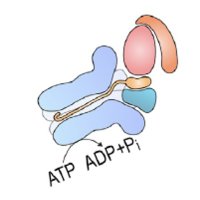 HemmoMeyerLab (@hemmo_lab) 's Twitter Profile