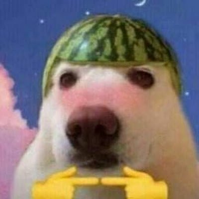 RobloxeditsD's profile picture. hello