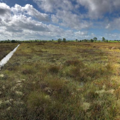 @Wetpeat_nuig