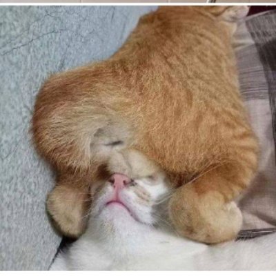 TasersEdge's profile picture. My #1 rule for life: Don't kick down. 

It's that simple.

From ancestral Ngadjuri & Bunganditj country. Now living on the unceded lands of the Kaurna people.