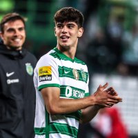 Rodrigo Ribeiro (@r_ribeiro209) 's Twitter Profile